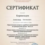 Сертификат 6 - Кормильцев Александр Евгеньевич