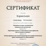 Сертификат 9 - Кормильцев Александр Евгеньевич