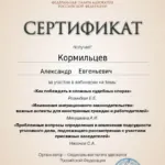 Сертификат 12 - Кормильцев Александр Евгеньевич