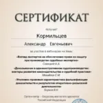 Сертификат 13 - Кормильцев Александр Евгеньевич