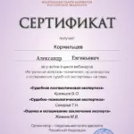 Сертификат 17 - Кормильцев Александр Евгеньевич