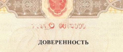 Почему доверенность будущему призывнику или мобилизованному нужно делать не на бабушку или маму