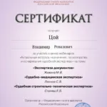 Сертификат 2 - Цой Владимир Ревазович