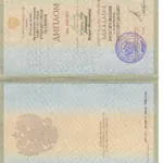 Диплом - Даньшов Игорь Иванович