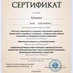 1 - Кильмаев Денис Александрович