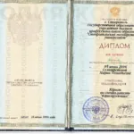 Диплом - Селиверстова Мария Геннадьевна