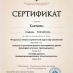Сертификат - Каюмова Эльвина Фанзилевна
