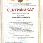 Сертификат 2022:07:16 - Тельной Денис Анатольевич