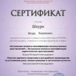 Сертификат 6 - Шкуро Игорь Вадимович
