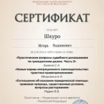 Сертификат 8 - Шкуро Игорь Вадимович