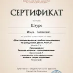Сертификат 9 - Шкуро Игорь Вадимович