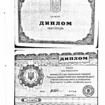 Диплом магистра - Шкуро Игорь Вадимович