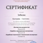 Сертификат 2 - Зобкова Екатерина Сергеевна