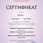 Сертификат 3 - Зобкова Екатерина Сергеевна