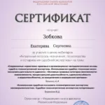 Сертификат 4 - Зобкова Екатерина Сергеевна