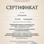 Сертификат 9 - Сагетдинов Ильдар Эдуардович