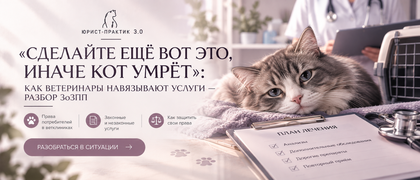 Юрист Таирова София Маратовна объясняет: «Сделайте еще вот это, иначе кот умрет»: как ветеринары навязывают услуги – разбор ЗоЗПП