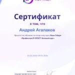 сертификат - Агалаков Андрей Сергеевич