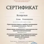 Сертификат 3 - Козярская Елена Владимировна