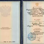 Диплом о высшем образовании - Шевцев Андрей Евгеньевич