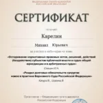 Сертификат за вебинар 29.05.25 (6 часов) - Карелин Михаил Юрьевич