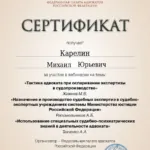 Сертификат за вебинар 13.04.23 (6 часов) - Карелин Михаил Юрьевич