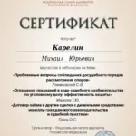 Сертификат за вебинар 03.02.23 (6 часов) - Карелин Михаил Юрьевич