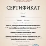 Сертификат 2 - Икаев Таймураз Олегович