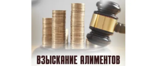 Достойные алименты – это сколько
