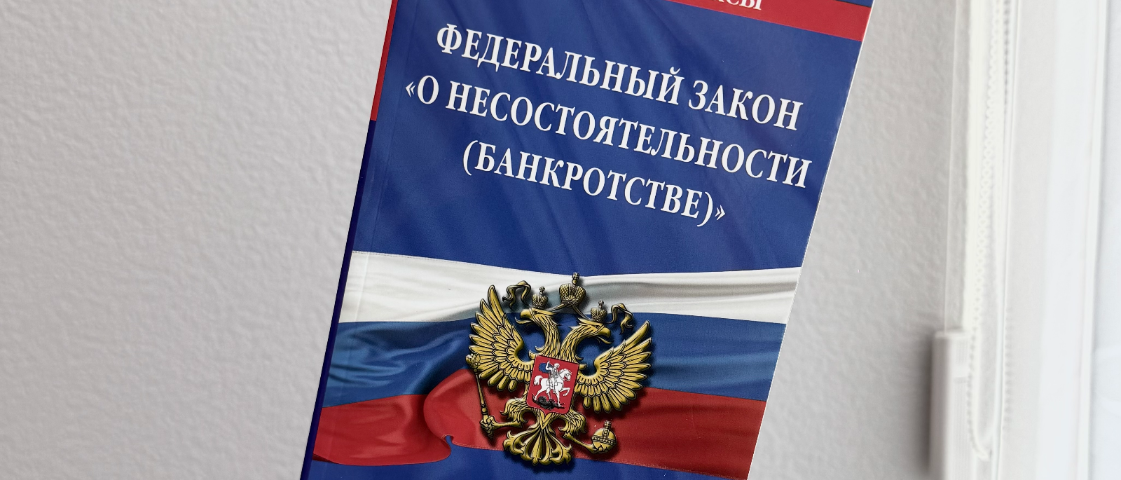 Юрист Дзёма Татьяна Юрьевна объясняет: Сохранили ипотечную квартиру, завершили банкротство гражданина