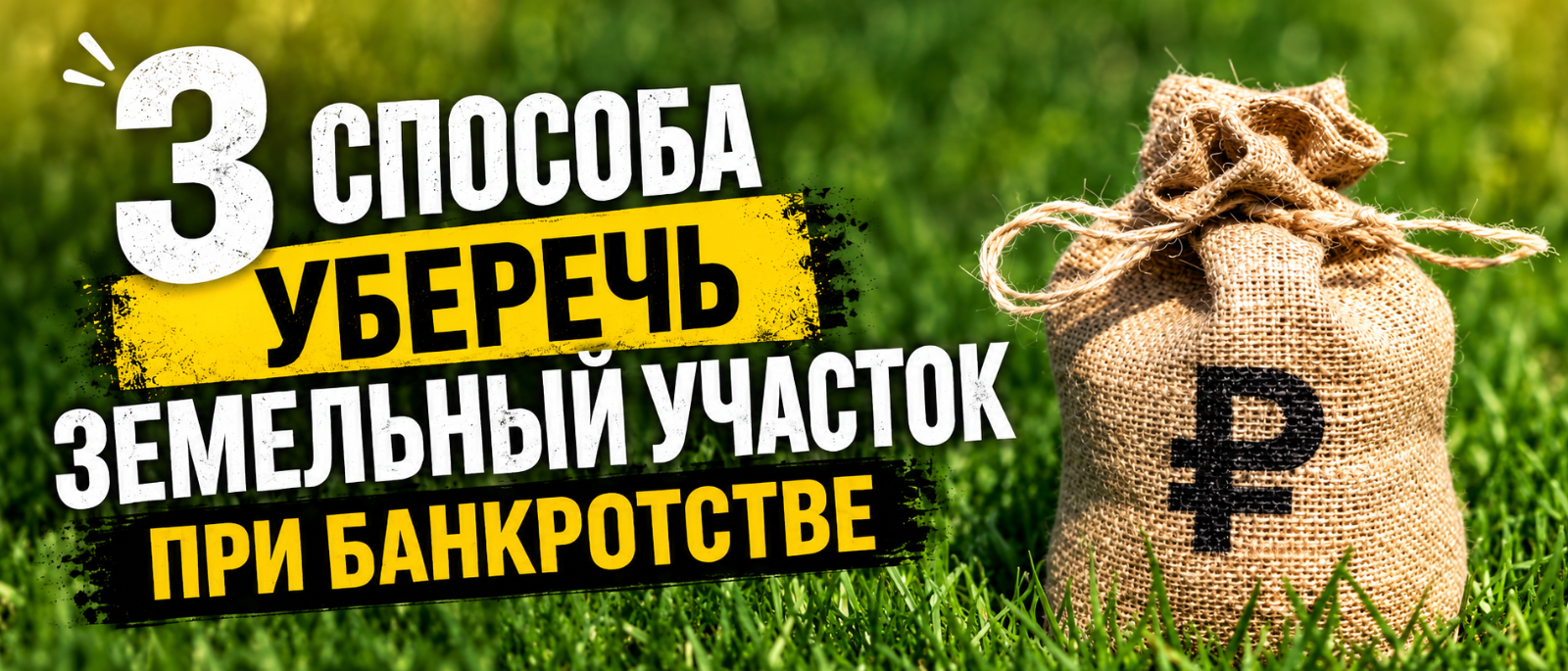 Юрист Шефер Александр Семенович объясняет: 3 способа уберечь земельный участок при банкротстве
